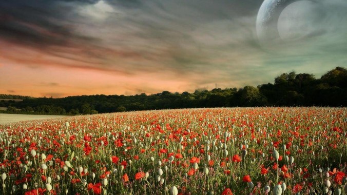 NAS噪音太大,大家都吧NAS放置到哪了?